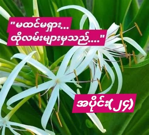 မမvk|အိမ်ဖော်မလေးကို မိန်းမ မရှိတုန်း.